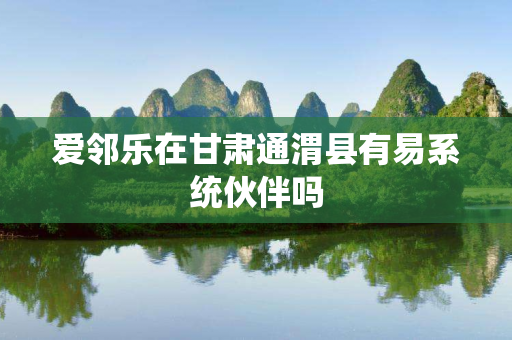 爱邻乐在甘肃通渭县有易系统伙伴吗