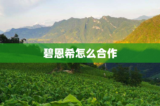 碧恩希怎么合作