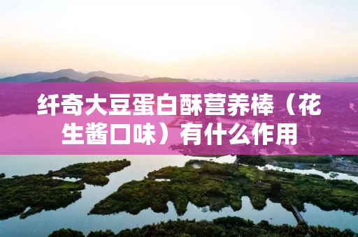 纤奇大豆蛋白酥营养棒（花生酱口味）有什么作用