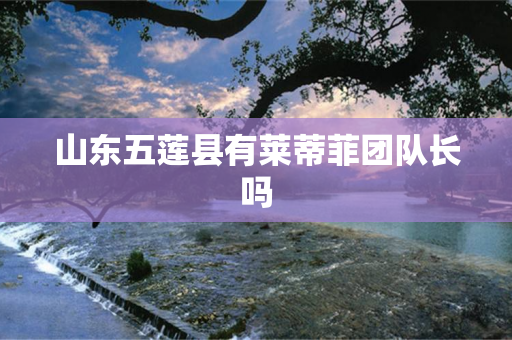 山东五莲县有莱蒂菲团队长吗