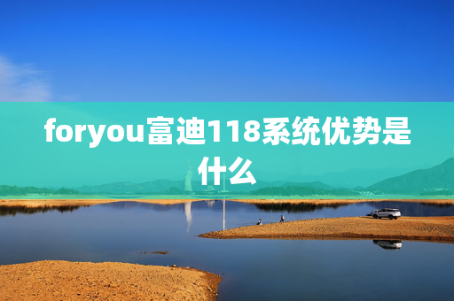 foryou富迪118系统优势是什么