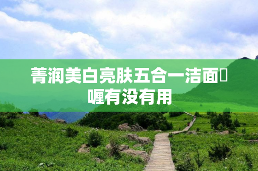 菁润美白亮肤五合一洁面啫喱有没有用