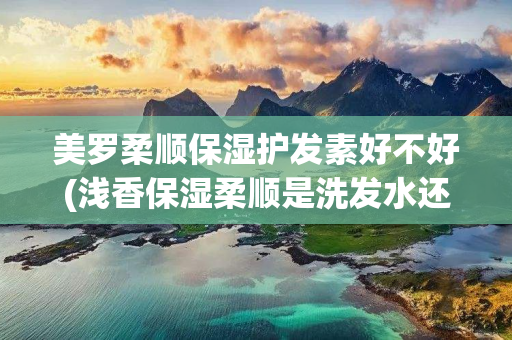 美罗柔顺保湿护发素好不好(浅香保湿柔顺是洗发水还是护发素)