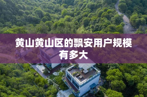 黄山黄山区的飘安用户规模有多大
