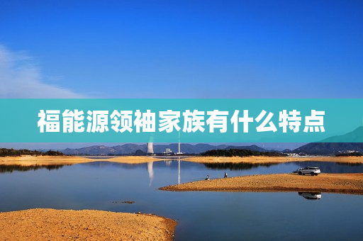 福能源领袖家族有什么特点