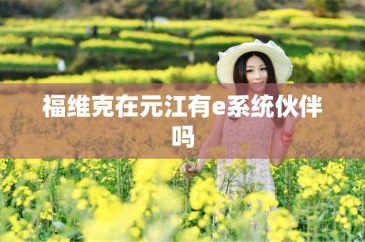 福维克在元江有e系统伙伴吗