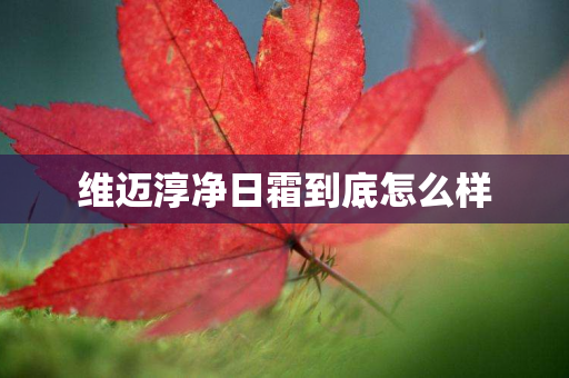 维迈淳净日霜到底怎么样
