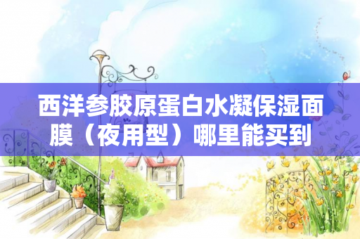 西洋参胶原蛋白水凝保湿面膜（夜用型）哪里能买到