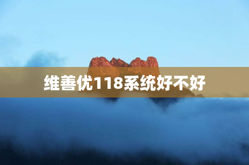 维善优118系统好不好