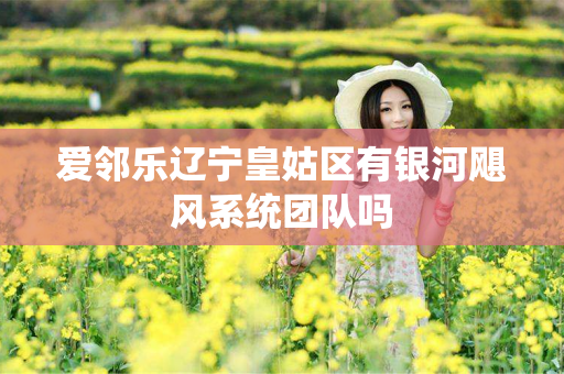 爱邻乐辽宁皇姑区有银河飓风系统团队吗