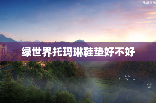 绿世界托玛琳鞋垫好不好