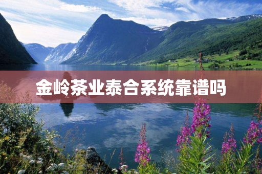 金岭茶业泰合系统靠谱吗