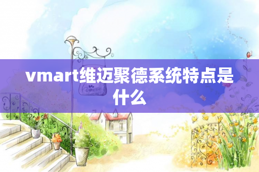 vmart维迈聚德系统特点是什么