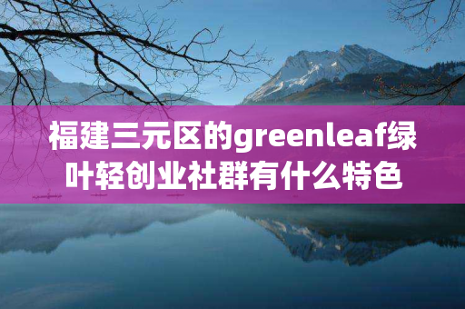 福建三元区的greenleaf绿叶轻创业社群有什么特色