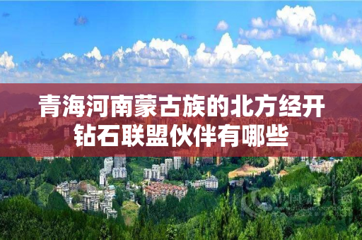 青海河南蒙古族的北方经开钻石联盟伙伴有哪些