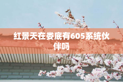 红景天在娄底有605系统伙伴吗