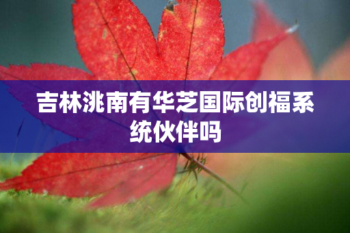 吉林洮南有华芝国际创福系统伙伴吗