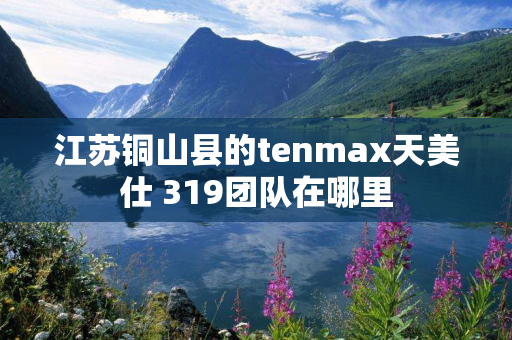 江苏铜山县的tenmax天美仕 319团队在哪里