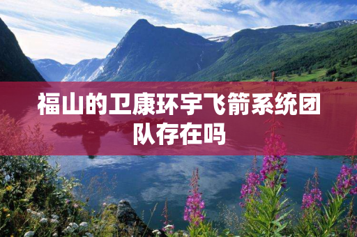 福山的卫康环宇飞箭系统团队存在吗
