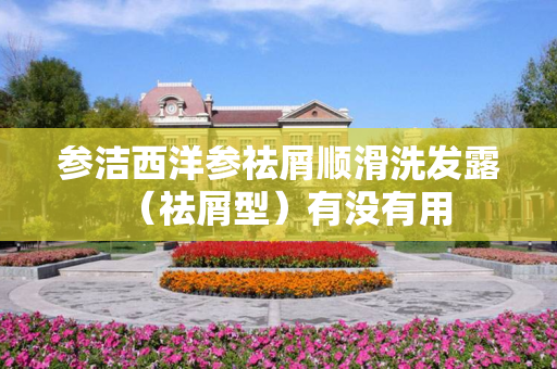 参洁西洋参祛屑顺滑洗发露（祛屑型）有没有用