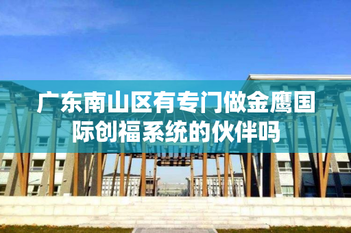 广东南山区有专门做金鹰国际创福系统的伙伴吗