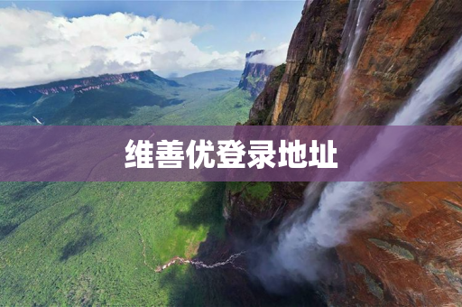 维善优登录地址