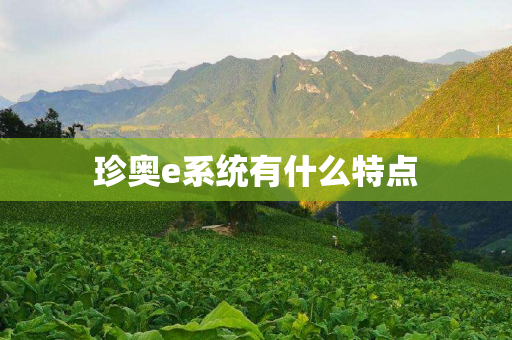 珍奥e系统有什么特点