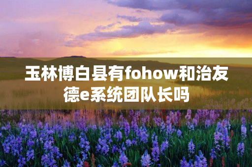 玉林博白县有fohow和治友德e系统团队长吗