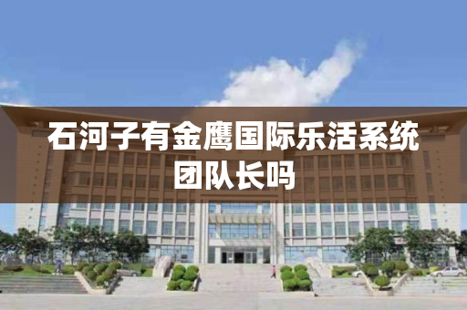石河子有金鹰国际乐活系统团队长吗