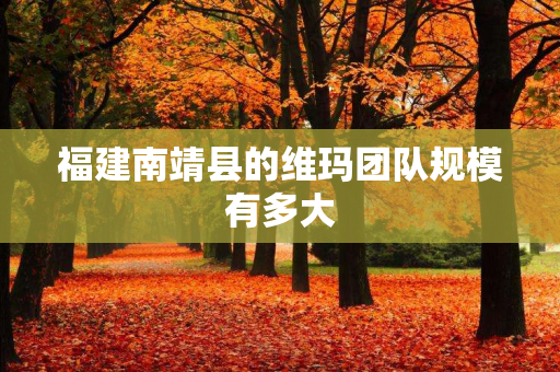 福建南靖县的维玛团队规模有多大