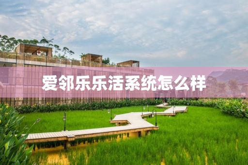 爱邻乐乐活系统怎么样