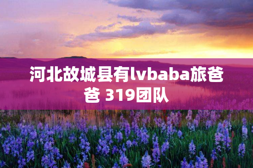 河北故城县有lvbaba旅爸爸 319团队
