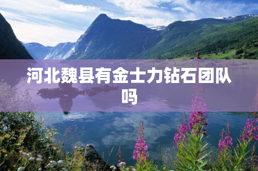 河北魏县有金士力钻石团队吗
