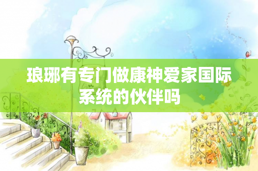 琅琊有专门做康神爱家国际系统的伙伴吗