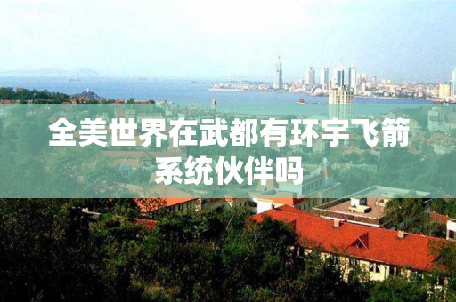 全美世界在武都有环宇飞箭系统伙伴吗