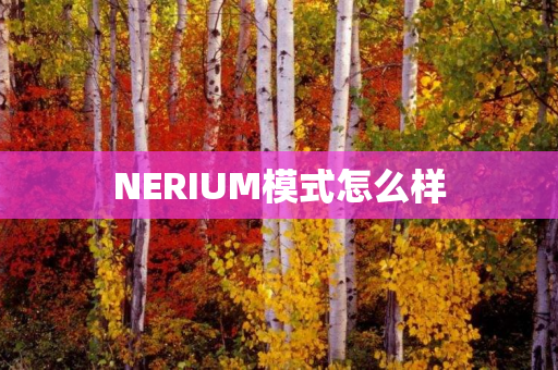 NERIUM模式怎么样