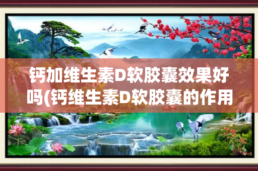 钙加维生素D软胶囊效果好吗(钙维生素D软胶囊的作用及功能)