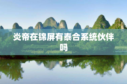 炎帝在锦屏有泰合系统伙伴吗