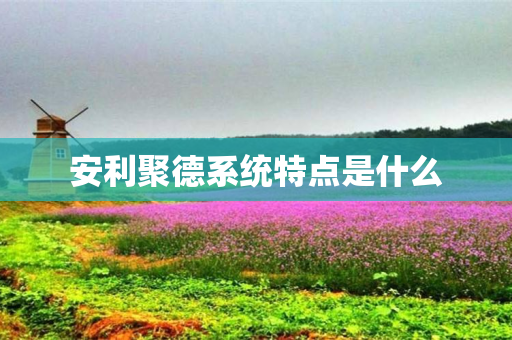 安利聚德系统特点是什么