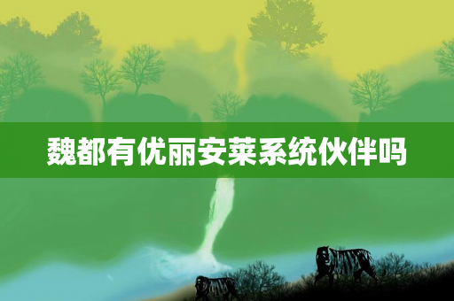魏都有优丽安莱系统伙伴吗