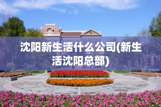 沈阳新生活什么公司(新生活沈阳总部)