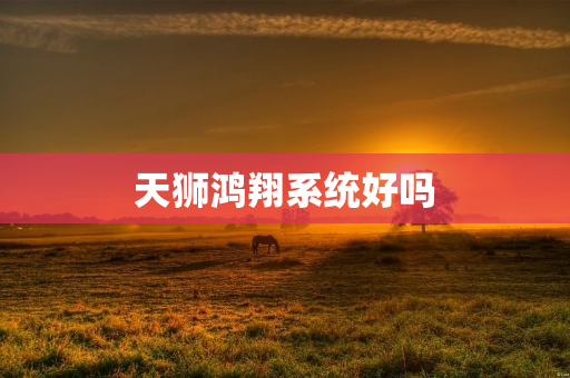 天狮鸿翔系统好吗