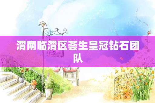 渭南临渭区荟生皇冠钻石团队