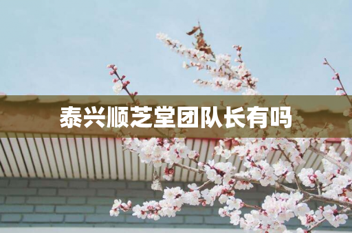 泰兴顺芝堂团队长有吗