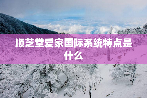顺芝堂爱家国际系统特点是什么