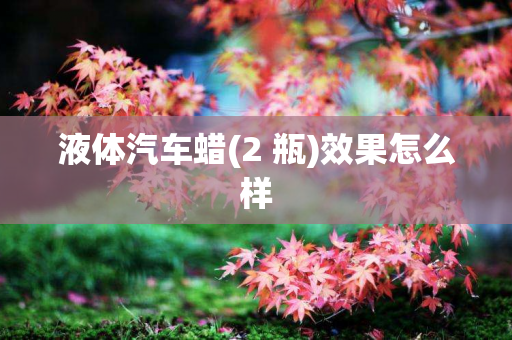 液体汽车蜡(2 瓶)效果怎么样