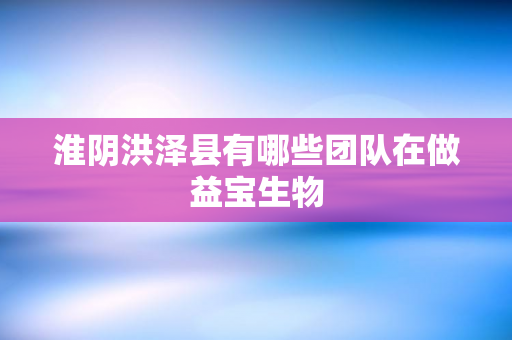 淮阴洪泽县有哪些团队在做益宝生物