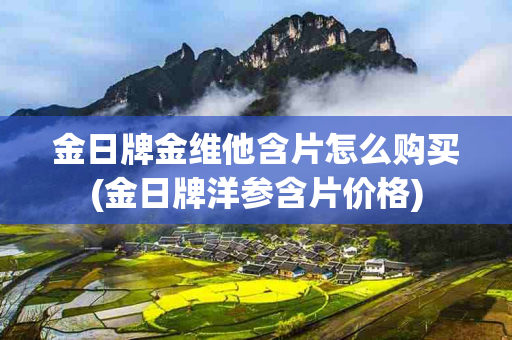 金日牌金维他含片怎么购买(金日牌洋参含片价格)