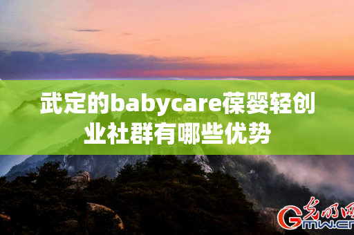 武定的babycare葆婴轻创业社群有哪些优势