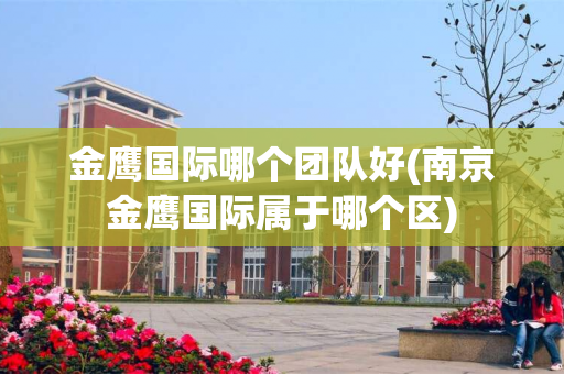 金鹰国际哪个团队好(南京金鹰国际属于哪个区)